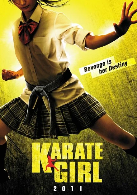 Постер Каратистка 2011