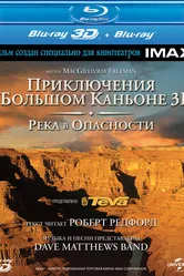 Приключение в Большом каньоне 3D: Река в опасности 2008 постер