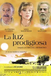 Божественный свет 2002 постер