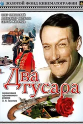 Два гусара 1984 постер