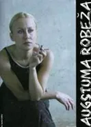 В пределах высоты 2005 постер