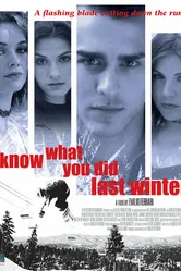 Я знаю, что вы сделали прошлой зимой 2005 постер