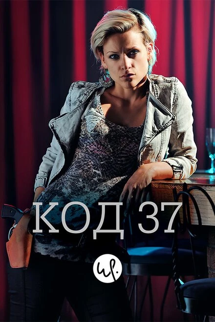 Постер Код 37: Отдел секс-преступлений 2009