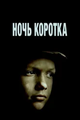 Ночь коротка 1981 постер