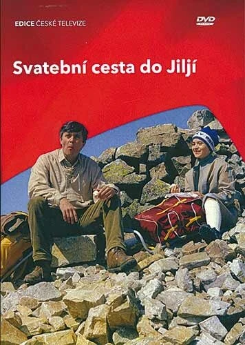 Постер Свадебное путешествие в Илью 1983