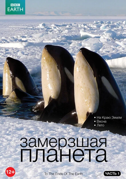 Постер BBC: Замерзшая планета 2011
