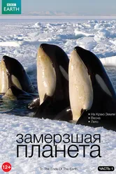 BBC: Замерзшая планета 2011 постер