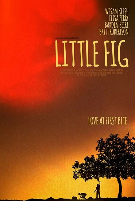 Постер Little Fig