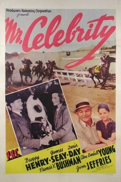 Постер Mr. Celebrity