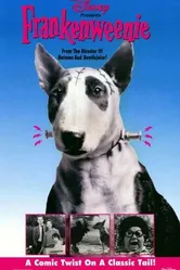 Франкенвини 1984 постер