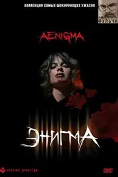 Энигма 1987 постер