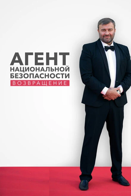 Постер Агент национальной безопасности. Возвращение 2019