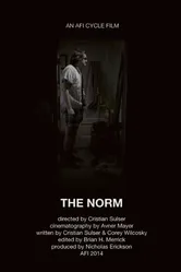 The Norm 2014 постер