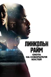 Линкольн Райм: Охота на Собирателя костей 2020 постер
