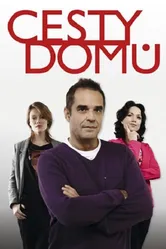 Дорога домой 2010, Чехия постер