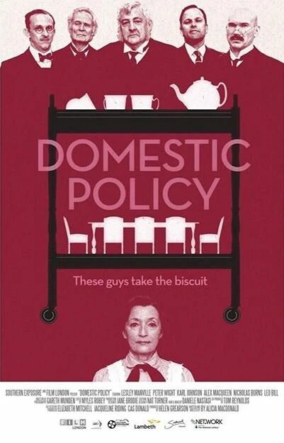 Постер Domestic Policy