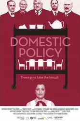Domestic Policy постер