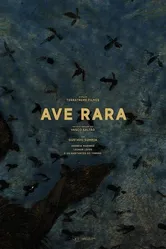 Ave Rara постер