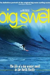 The Big Swell постер