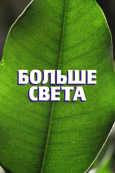 Постер Больше света 2023
