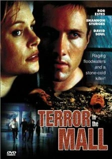 Постер Темный дождь 1998