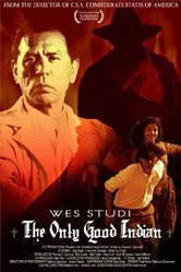 Единственный хороший индеец 2009 постер