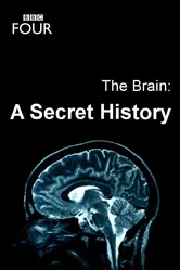 The Brain: A Secret History постер