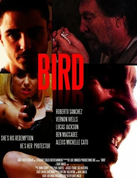 Постер Bird 2020, США