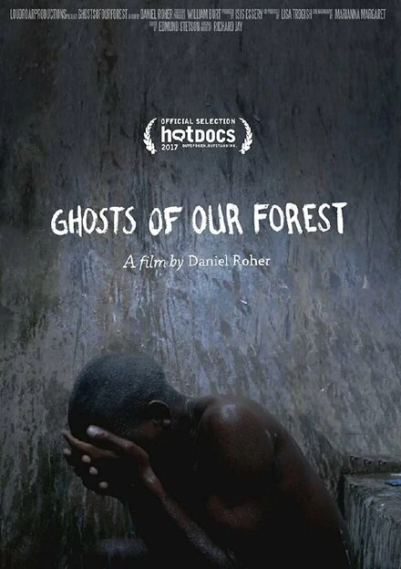 Постер Ghosts of our Forest