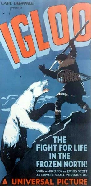 Постер Igloo