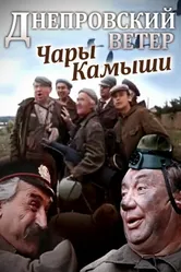 Днепровский ветер. Чары-камыши 1976 постер