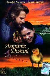 Летите домой 1996 постер