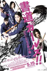 Девочки-каллиграфы 2010 постер
