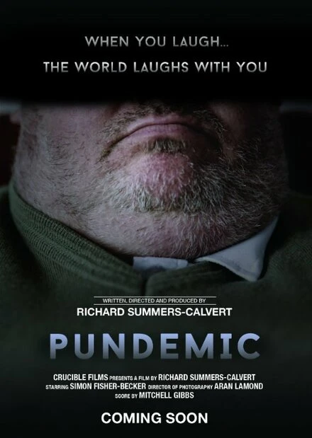 Постер Pundemic