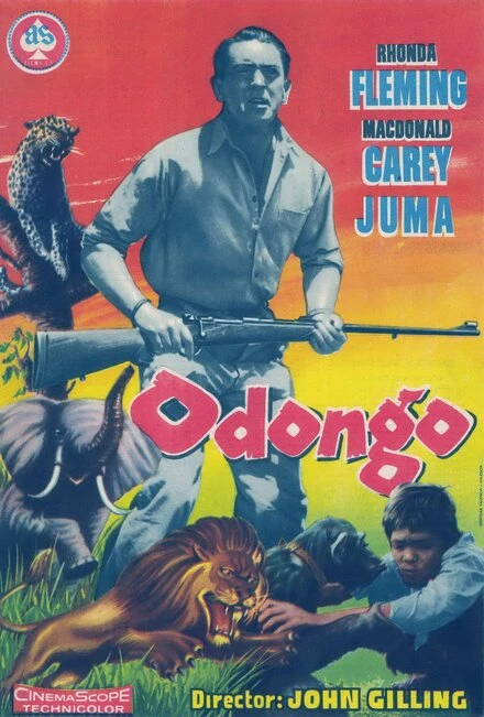 Постер Odongo
