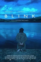 Blink 2014, Ирландия постер