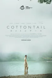 Cottontail постер