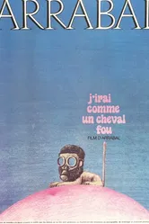 Я поскачу  как бешеный конь 1973 постер