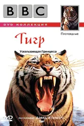 BBC: Тигр 1999 постер