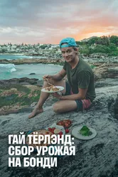 Гай Тёрлэнд: Сбор урожая на Бонди 2018 постер