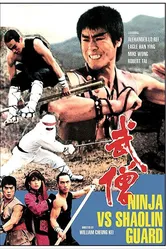Ниндзя против стражей Шаолиня 1984 постер