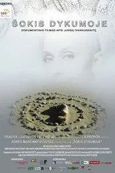 Танцы в пустыне 2009 постер