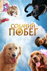 Собачий побег 2023 постер
