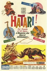Хатари! 1962 постер