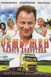 Семь жен одного холостяка 2009 постер
