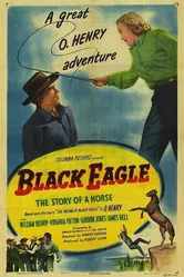 Black Eagle постер