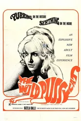 Горячая месть 1969 постер