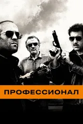 Профессионал 2011 постер