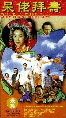 Постер Влюбляются только дураки 1995