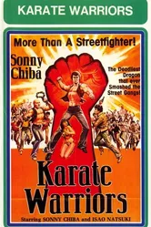 Воины карате 1976 постер